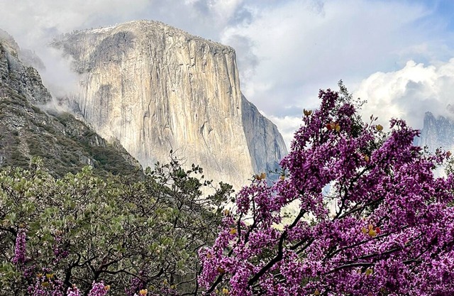 Yosemite Mountain Lodge