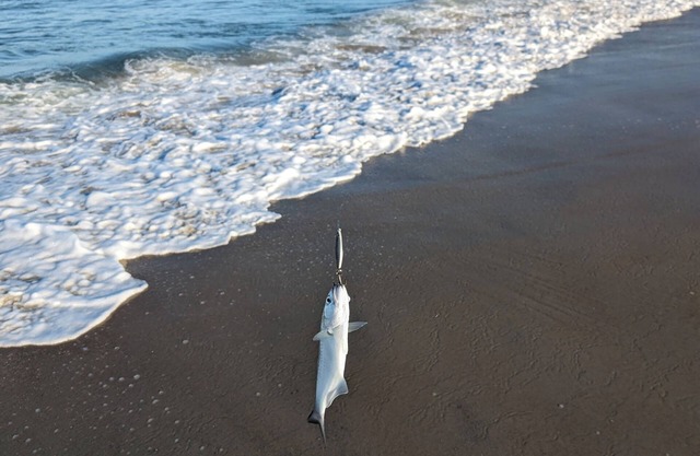 Your ultimate Outer Banks retreat: fishing, beach fun, and scenic adventures.