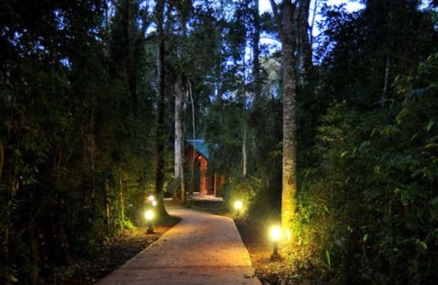 Yvy Hotel de Selva