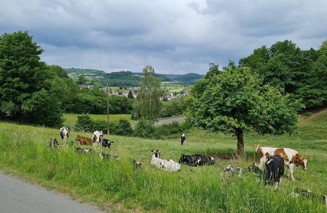 Zimmer 4, Dreibett mit Etagenbett, Dusche, wc - Gasthaus Paula