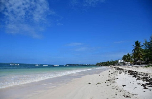 Zuri Luxe Beach Haven -stylish 2 BR Apartment With AC -silversand Beach -malindi