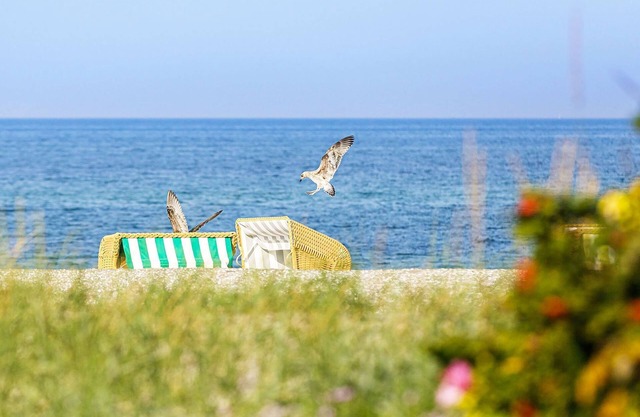 Zwei Wasser - Seefahrtschule Ostseebad Wustrow - First Garden View