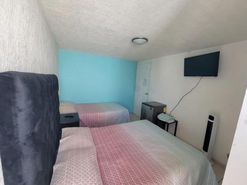 Zapopan House | Águilas Room 3