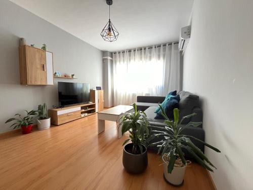 Daimiel Apartment | Ánade Real Guest House