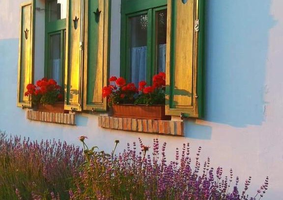 Bakonyszucs House | Égkőris Vendégház
