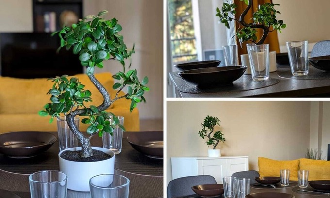 Paray-Vieille-Poste Apartment | Évasion - Orly à 12 Minutes de Paris. Bel Appartement au Cœur de Orly