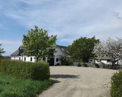 Ystad House | Öja