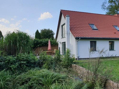 Rappin House | Öko-Ferienhaus