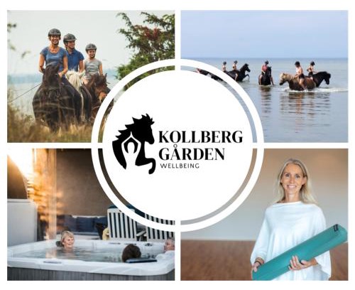 Stora Fro Bed & Breakfast | Ölands Yoga Studio & Islandshästar, Stugor & Rum