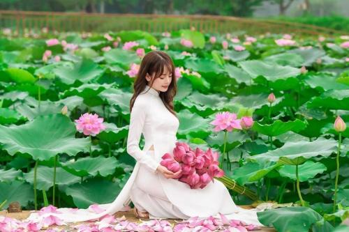 Thach That Resort | Đầm sen Resort