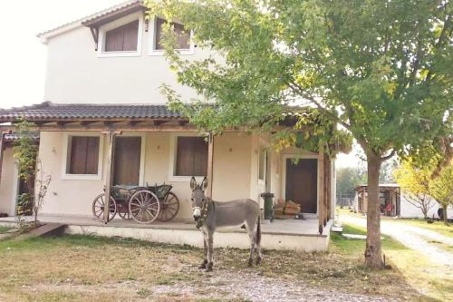 Mavromati Villa | Το σπίτι στο αγρόκτημα