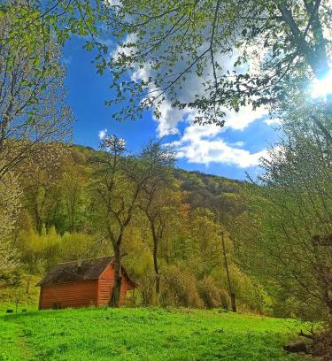 Transcarpathia House | Еко Садиба Під Полониною