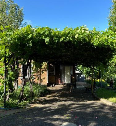 Rzhyshchiv House | Заміський будинок