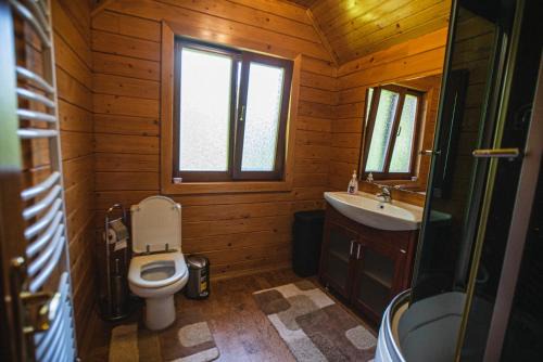 Transcarpathia Apartment | Молода Вовчиця