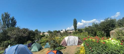 Chon-Uryukty Other | Палаточный кемпинг "Beautiful country"