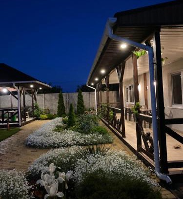 Molodizhne House | Три кошки