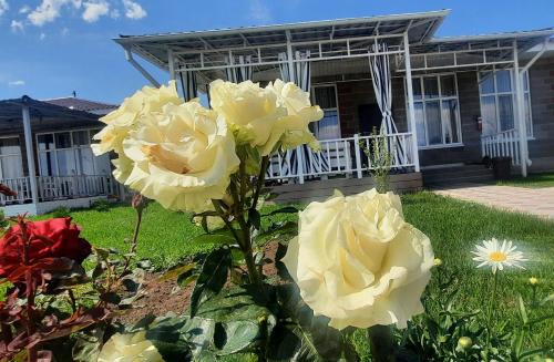Issyk-Kul Region House | Уютный коттедж на берегу Иссык-Куля, Киргизия