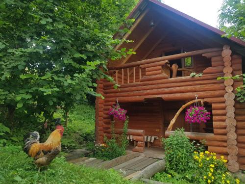 Soymy House | У Медовому Раю