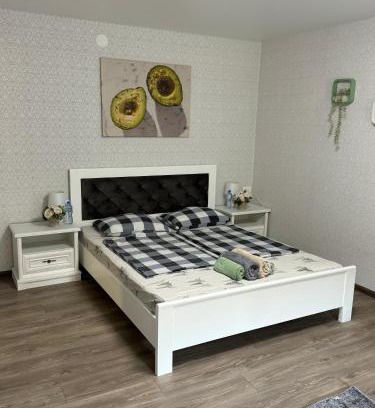 Transcarpathia Apartment | Чудесная квартира в изюминке города Берегово