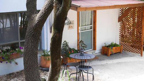 Elqosh Apartment | בין האלונים