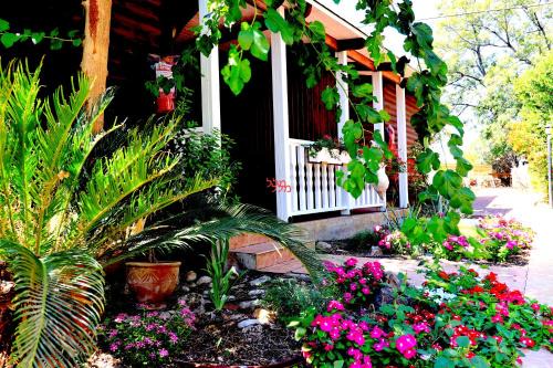 Ramot Naftali Cabin | בית חוה