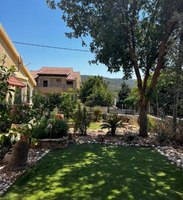 Shezor Hotel | צימרים בצפון-Amores