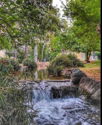 Qiryat Shemona House | צימר על הנחל