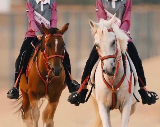 Murqquab Other | اسطبلات أساور للفروسية Asawer Equestrian Stables