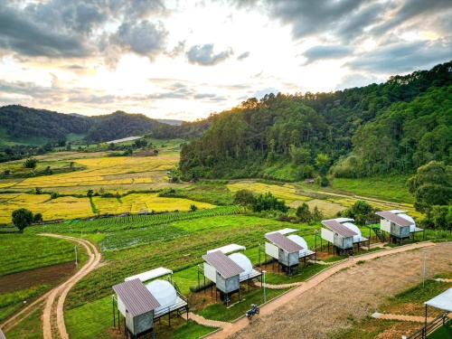 Huai Makhuea Som Other | สวนไร่รุ่งอรุณ Suan Rai Rungarun