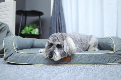 Chuo Ward Apartment | 新潟駅から徒歩7分 ペットと泊まれる宿 DoggoInn Niigata503