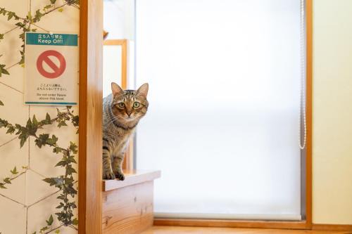 Kokubunji Cho Shinmyo House | 香川のゲストハウスFDroom