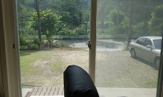 Goseong-gun House | 진부령 valley.