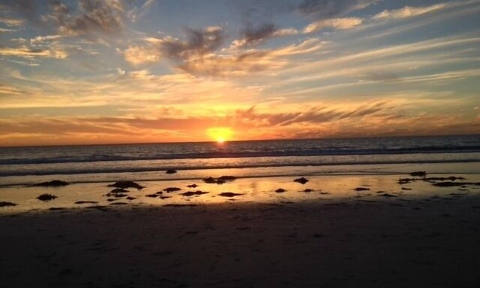Mission Beach Condo | 1/1 Ocean Front w/King Bed, Sunsets, Surfers, and Amazing Memories. Book It!