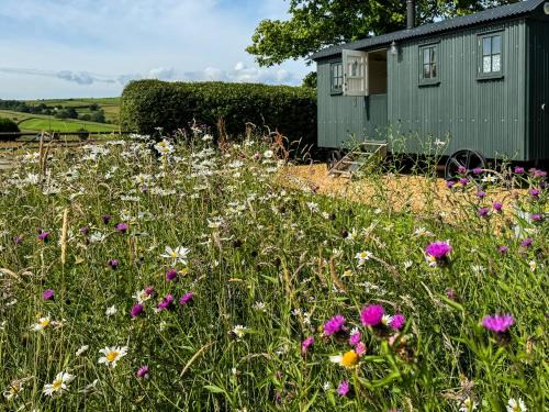 Mellor House | 1 Bed in Hayfield 87592