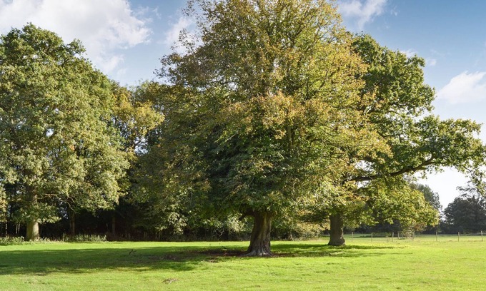 Palgrave Cottage | 1 bedroom accommodation in Palgrave, near Diss