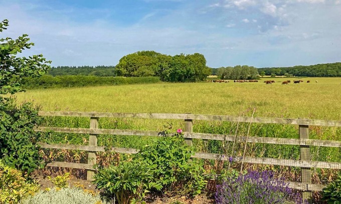 Market Rasen Cottage | 1 bedroom accommodation in Gautby