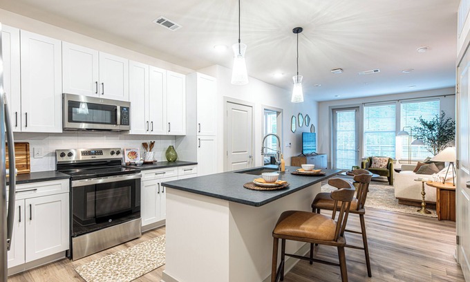 Knoxville Apartment | 1 Bedroom Apartment-Across the River from Neyland Stadium-2523