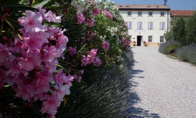 Bussolengo Bed & Breakfast | 1 bedroom bed & breakfast in veneto
