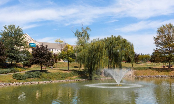 Chantilly Condo | 1 Bedroom | King Suite Near IAD | Free Breakfast