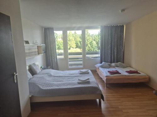 Sankt Englmar Apartment | 1-Zimmer-Apartment mit Balkon, kostenloser Schwimmbadnutzung und Blick ins Grüne