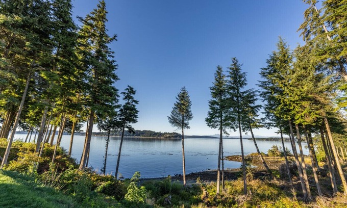 Regional District of Mount Waddington Cottage | 10 - Blackfish Cottage By The Sea at Alder Bay