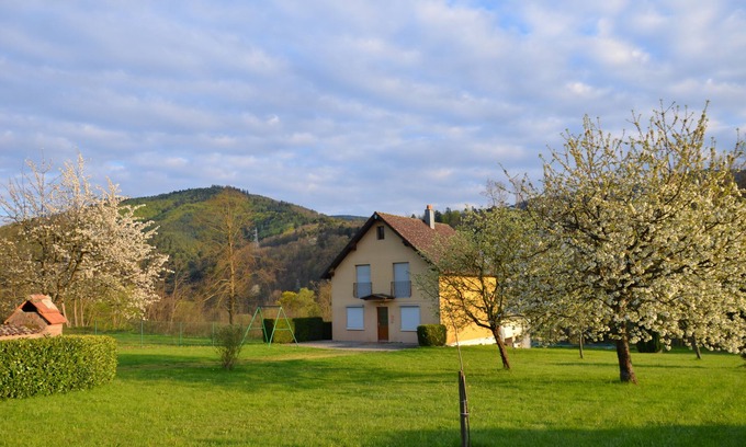 La Vancelle House | 10 'from the mountain of the monkeys - flying eagles - Haut-Koenigsbourg castle