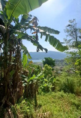Pokhara House | 100 cottage stay