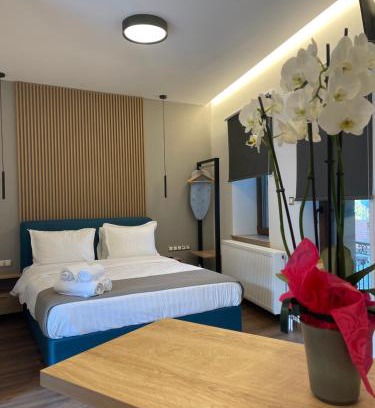 Metsovo Apartment | 11 Luxury apartments.