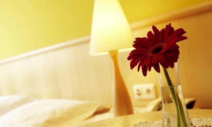 Golling an der Salzach Hotel | 15 m² Hotel ∙ 1 bedroom ∙ 1 guest