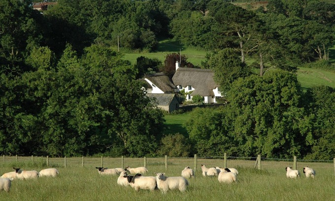 Littleham Cottage | 16th Century Thatched Cottage in an Acre of Mature Gardens