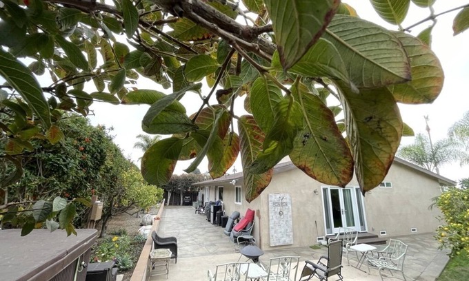 Olde Carlsbad House | 180 Sunset View Lookout - Hot tub & Fire Pit