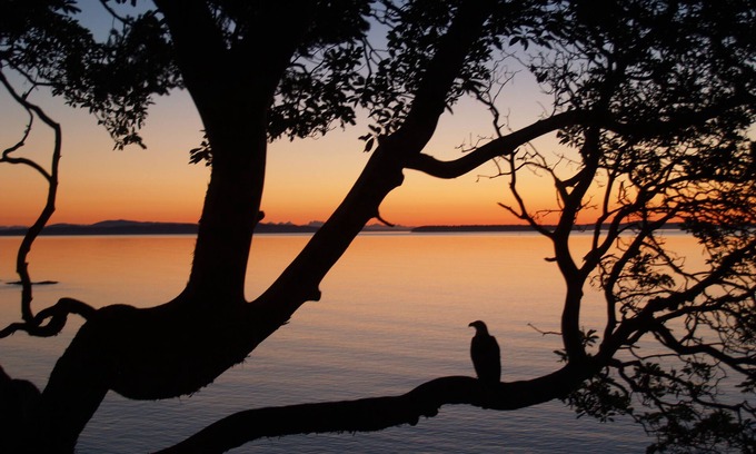 Cordova Bay House | 180° OCEANFRONT 15 min to downtown,Wineries. Beach,Hot Tub