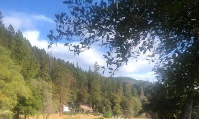 Douglas City House | 184 On The River