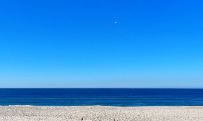 Barra Apartment | 1st line beach apartment